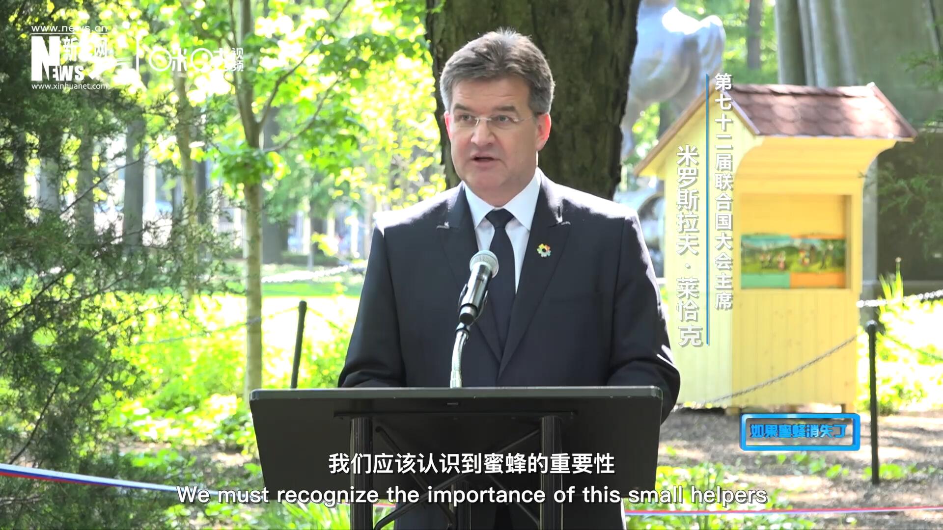我們應該認識到蜜蜂的重要性，所以我們用&ldquo;世界蜜蜂日&rdquo;提高大家保護蜜蜂的意識，并且用實際行動去保護蜜蜂