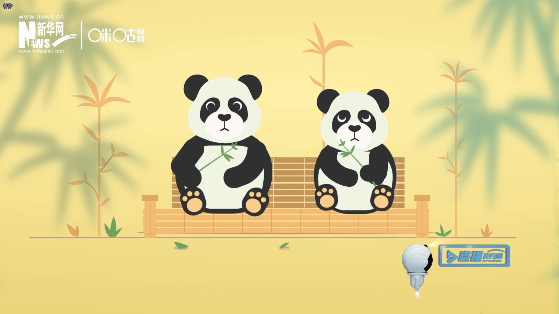 &ldquo;哥哥你看，又有人來(lái)看我們了。&rdquo;&ldquo;有什么奇怪的，我們可是聯(lián)合國(guó)&lsquo;最萌&rsquo;的大使??！&rdquo;。