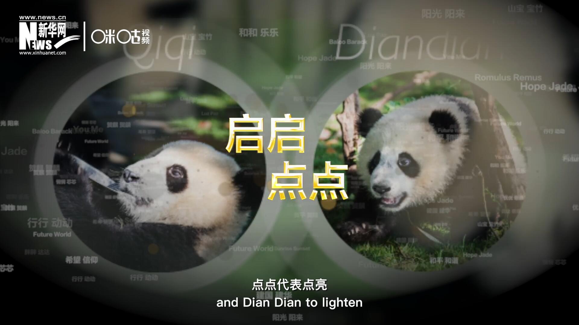 啟啟代表&ldquo;啟發(fā)&rdquo;，點(diǎn)點(diǎn)代表&ldquo;點(diǎn)亮&rdquo;，象征著2030年可持續(xù)發(fā)展議程 的&ldquo;起點(diǎn)&rdquo;，也象征著全球可持續(xù)發(fā)展路徑的新起點(diǎn)。
