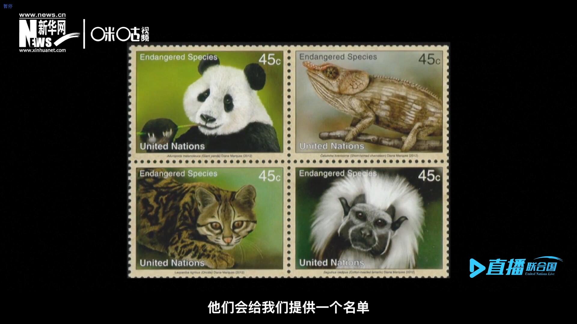 CITES（瀕危野生動植物種國際貿易公約）會給聯(lián)合國郵政設計師提供一個名單，雙方共同合作在附錄中找到名單中應該受到關注的動物。