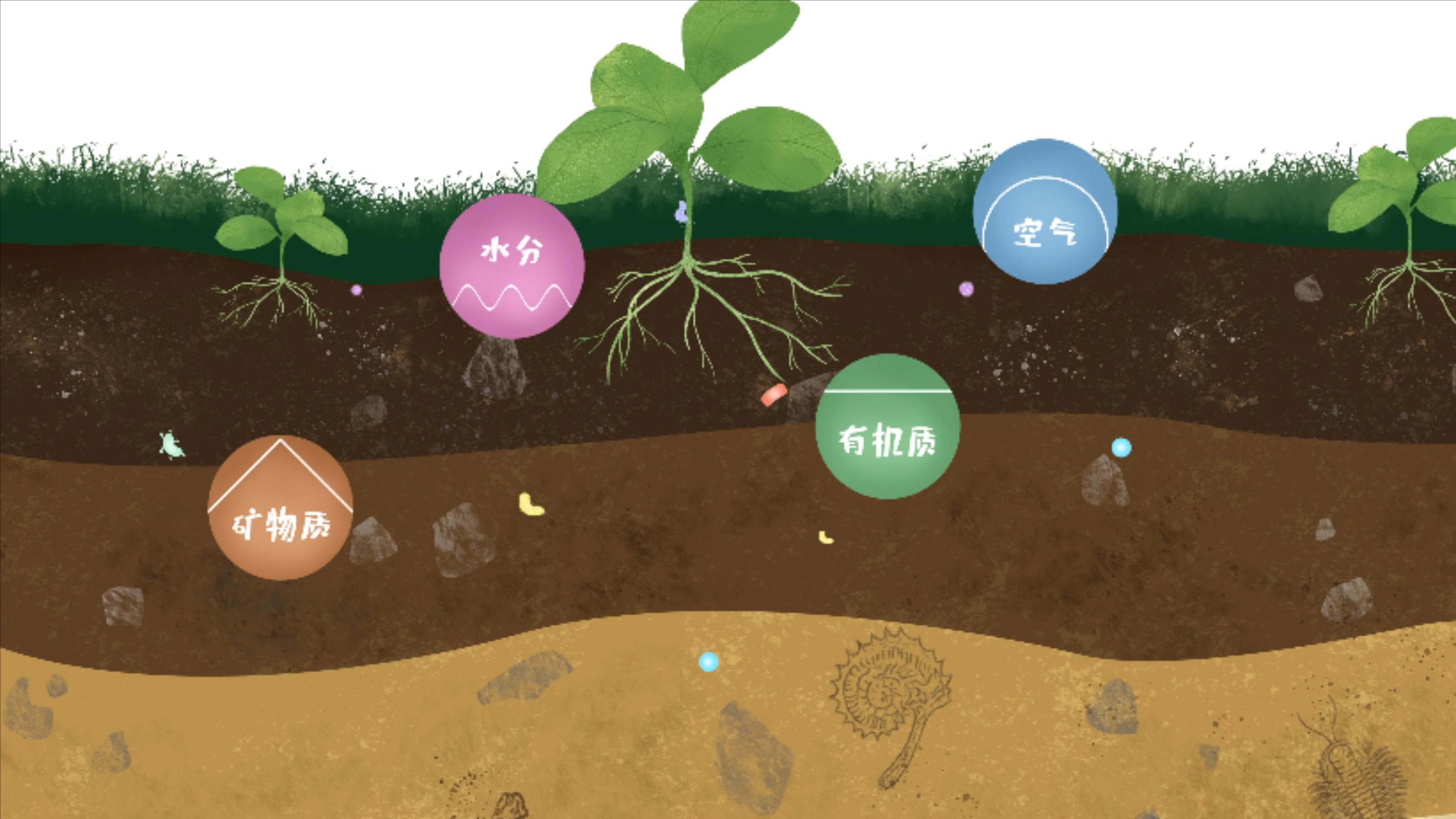 土壤由礦物質(zhì)、有機質(zhì)、水分、空氣及包括微生物在內(nèi)的生物體等組成