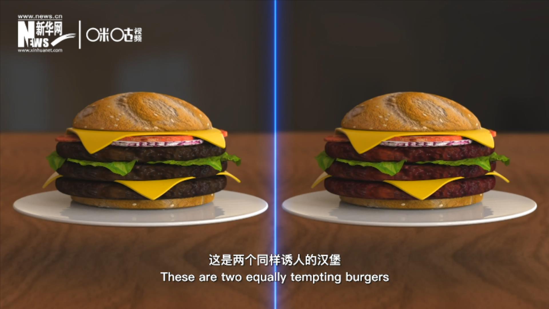 人造肉漢堡能在生產(chǎn)過程中節(jié)約水、土地、排放以及能量