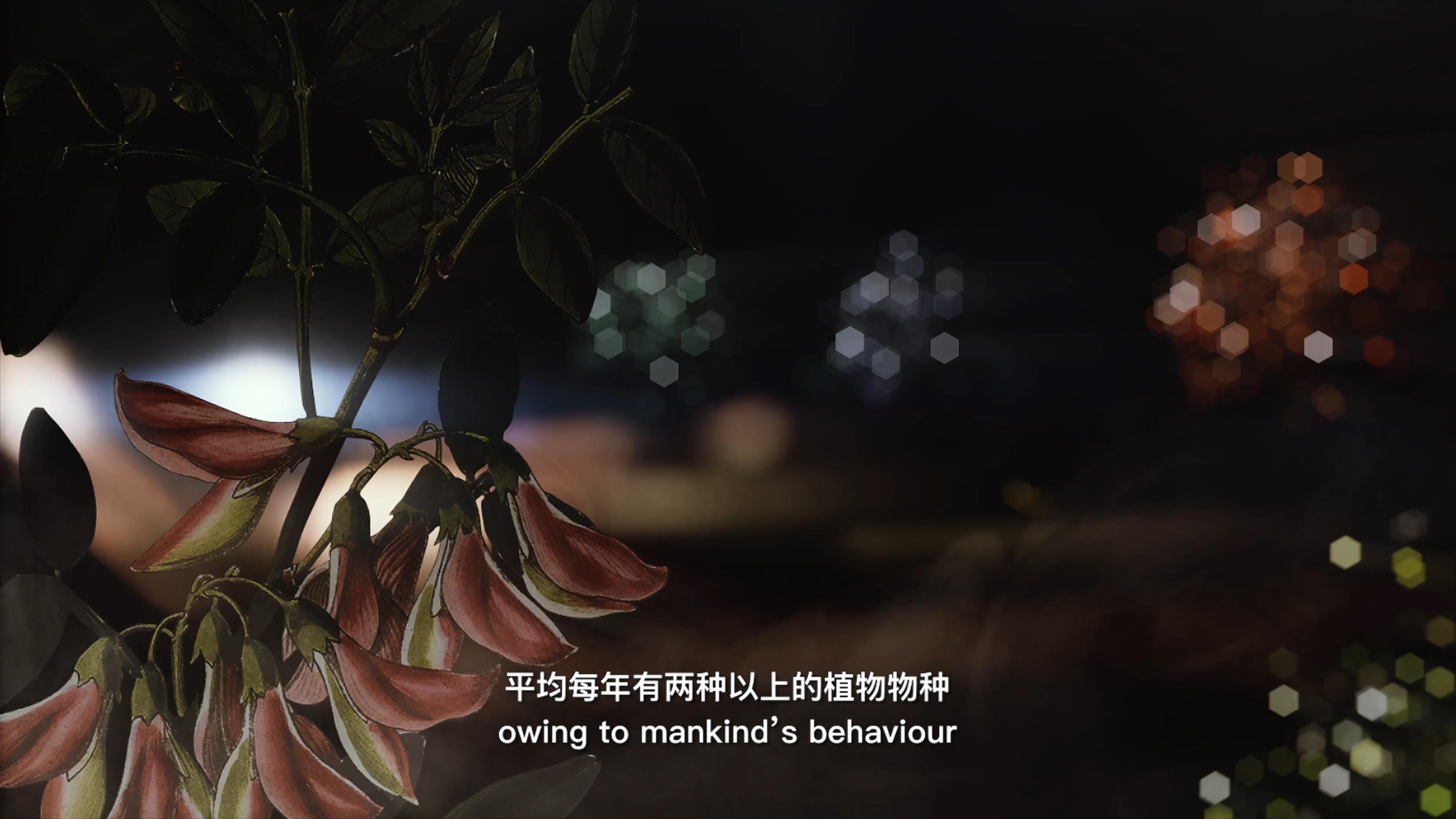自18世紀(jì)中葉以來(lái)，許多植物物種因?yàn)槿祟?lèi)的原因而從地球上消失