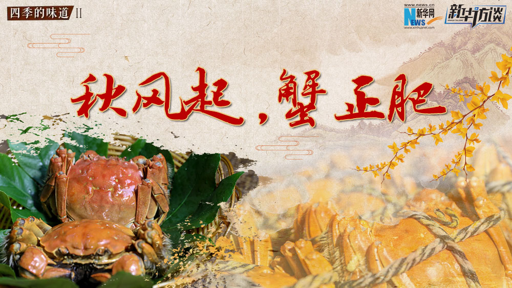 秋風(fēng)起，蟹正肥
