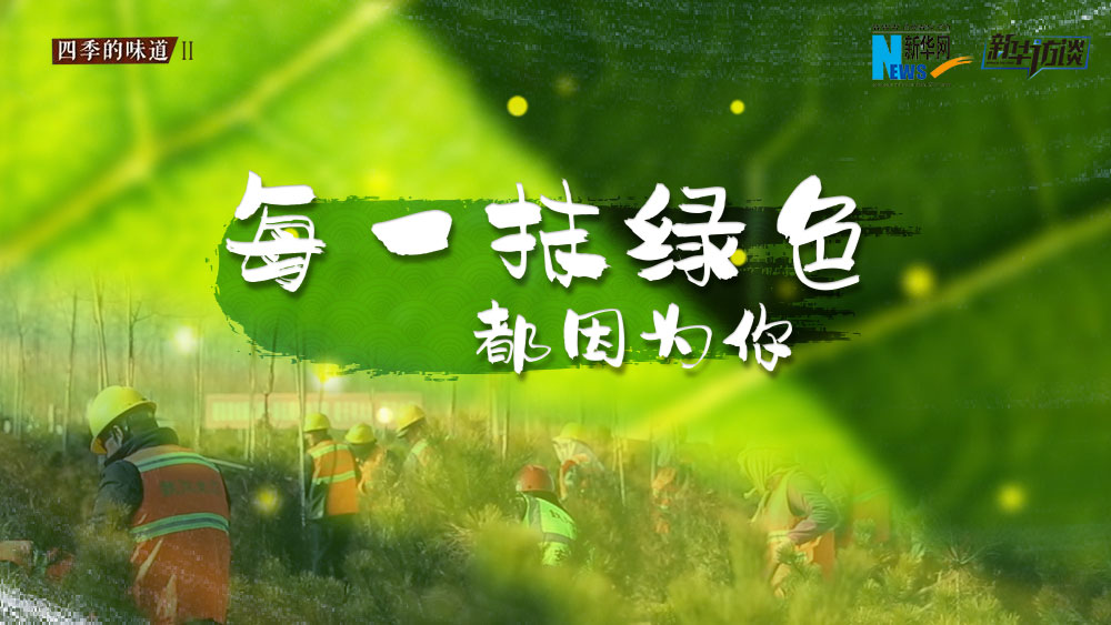 千年秀林，每一抹綠色都因?yàn)槟? /></p>
<p class=