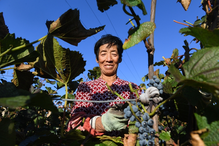 鏗鏘的時(shí)代樂章&mdash;&mdash;黨的十八大以來習(xí)近平 總書記考察調(diào)研過的貧困村脫貧調(diào)查