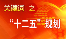 張平：&ldquo;十二五&rdquo;規(guī)劃實(shí)施的總體情況是好的