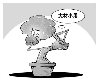 自認&ldquo;大材小用&rdquo;，不如腳踏實地