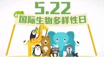 國際生物多樣性日：讓每個人從點滴做起