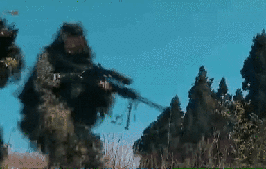 突入，擊斃！直擊武警特戰(zhàn)反劫持演練！