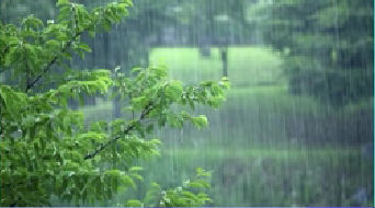 江蘇&ldquo;入梅&rdquo; 預(yù)計(jì)今年梅雨期降水量接近常年