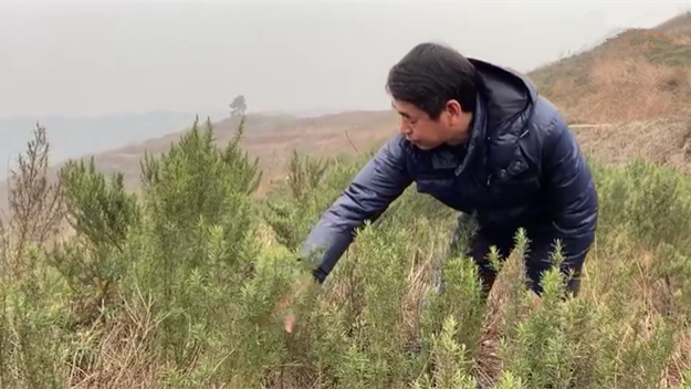 新春走基層｜脫貧后，駐村扶貧隊長在干啥？