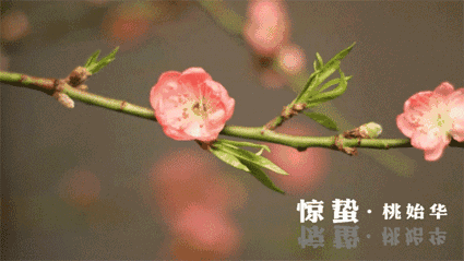&ldquo;如果節(jié)氣會說話&rdquo;之驚蟄