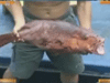 [新聞1+1] 走，南沙捕魚去！