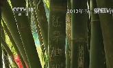 &ldquo;五一&rdquo;去哪？：快樂出行 文明旅游