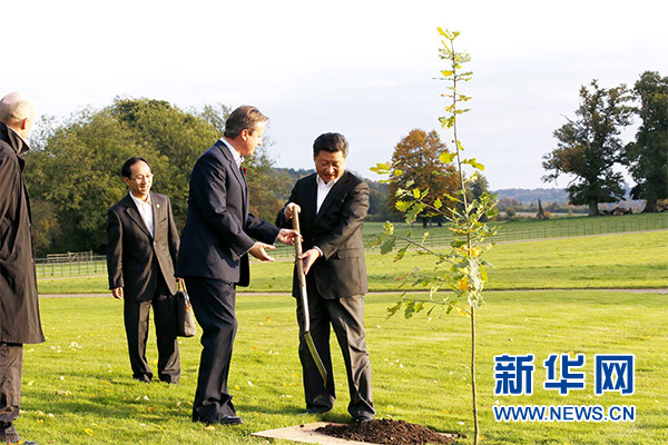 兩國(guó)領(lǐng)導(dǎo)人一同在別墅草坪，共同種下象征中英友誼的橡樹(shù)。新華社記者 鞠鵬 攝