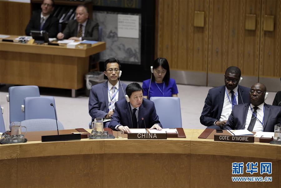 （XHDW）中國代表呼吁堅持&ldquo;兩國方案&rdquo;解決巴以問題