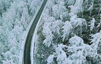湖北現(xiàn)&ldquo;林海雪原&rdquo; 銀裝素裹風景如畫